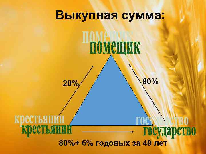 Выкупная сумма: 20% 80%+ 6% годовых за 49 лет 