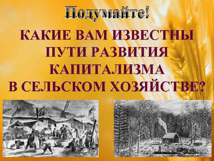 Подумайте! КАКИЕ ВАМ ИЗВЕСТНЫ ПУТИ РАЗВИТИЯ КАПИТАЛИЗМА В СЕЛЬСКОМ ХОЗЯЙСТВЕ? 