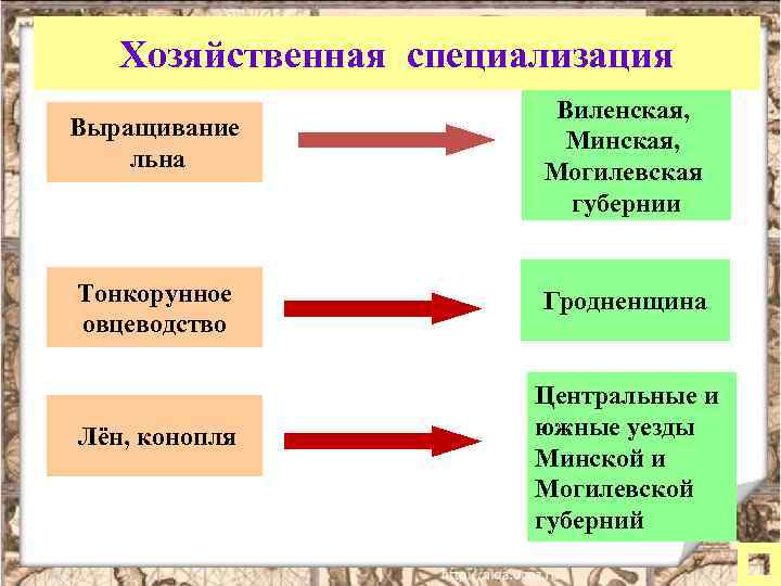 Хозяйственная специализация Выращивание льна Виленская, Минская, Могилевская губернии Тонкорунное овцеводство Гродненщина Лён, конопля Центральные
