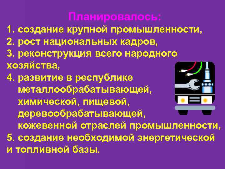 Планировалось: 1. создание крупной промышленности, 2. рост национальных кадров, 3. реконструкция всего народного хозяйства,
