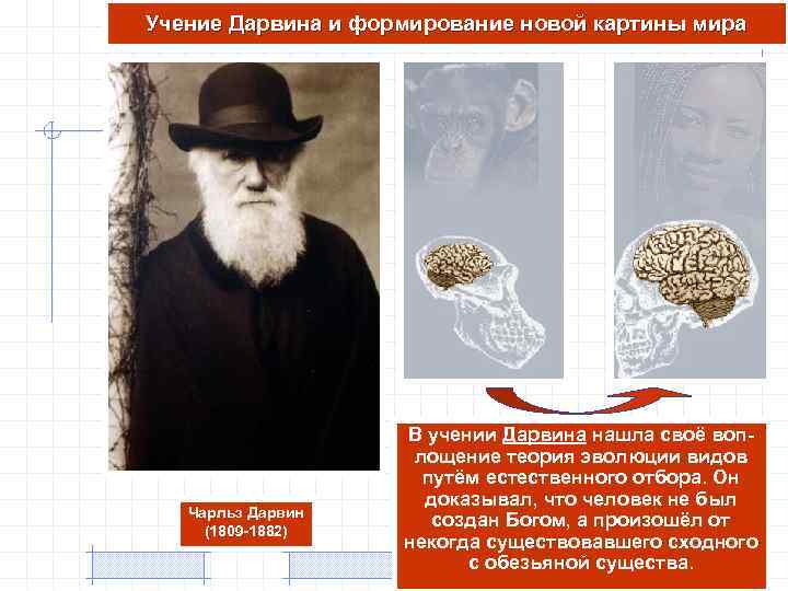 Учение Дарвина и формирование новой картины мира Чарльз Дарвин (1809 -1882) В учении Дарвина