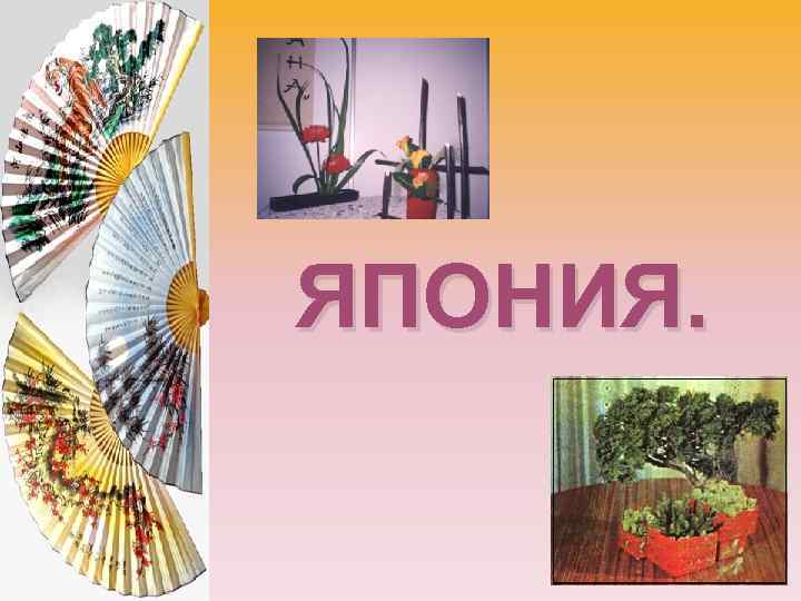 ЯПОНИЯ. 