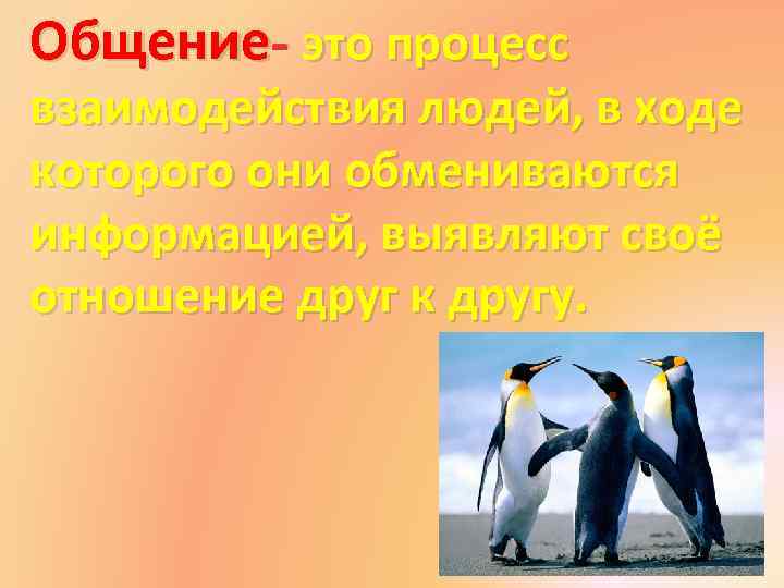 Роль общения в жизни человека презентация 6 класс