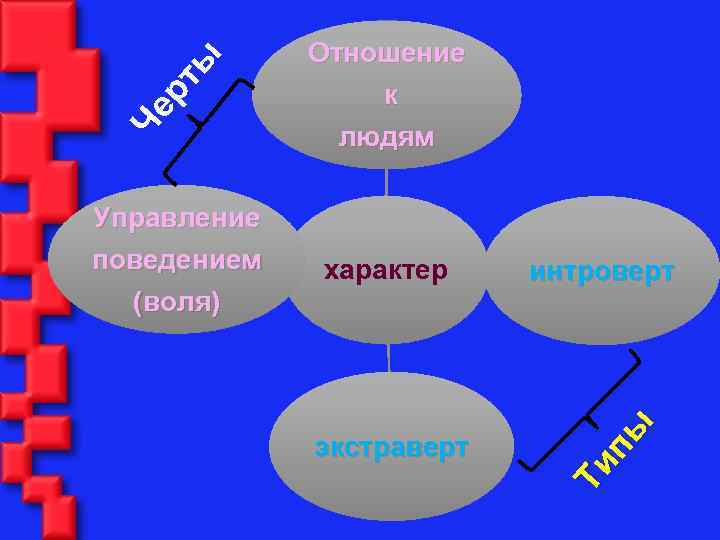 (воля) людям характер интроверт экстраверт Ти пы ы рт Че Управление поведением Отношение к