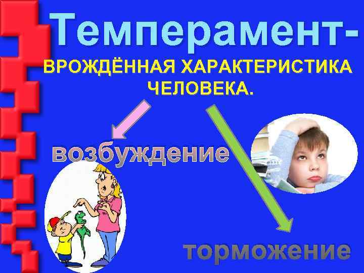 Темперамент. ВРОЖДЁННАЯ ХАРАКТЕРИСТИКА ЧЕЛОВЕКА. возбуждение торможение 