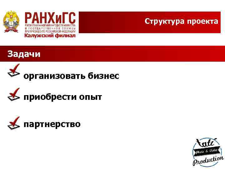 Структура проекта Калужский филиал Задачи организовать бизнес приобрести опыт партнерство 