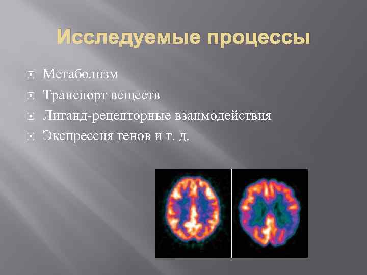 Исследуемые процессы Метаболизм Транспорт веществ Лиганд-рецепторные взаимодействия Экспрессия генов и т. д. 