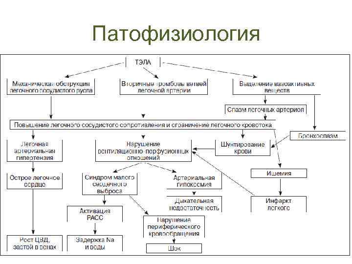 Патофизиология 