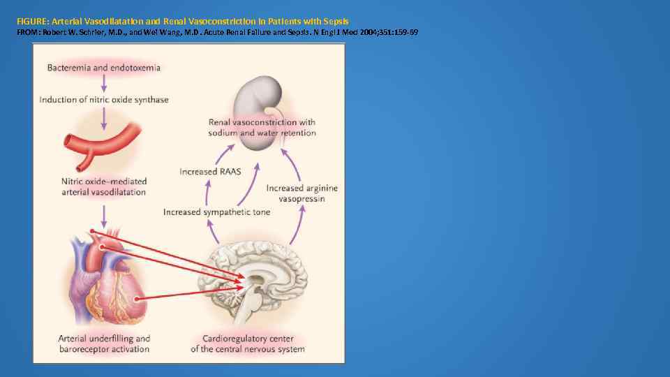 FIGURE: Arterial Vasodilatation and Renal Vasoconstriction in Patients with Sepsis FROM: Robert W. Schrier,