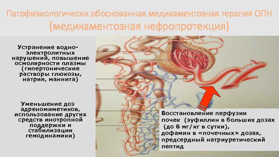 Патофизиологически обоснованная медикаментозная терапия ОПН (медикаментозная нефропротекция) Устранение водноэлектролитных нарушений, повышение осмолярности плазмы (гипертонические