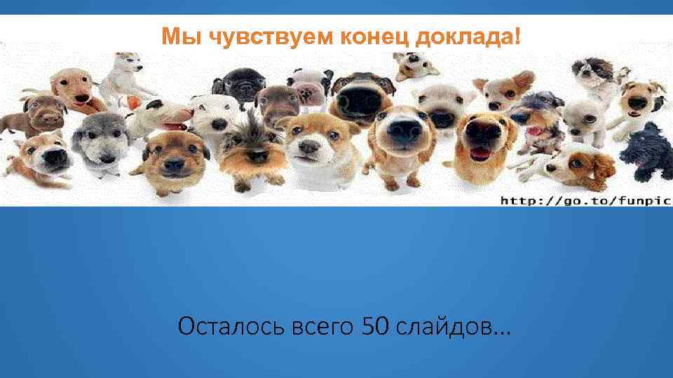 Мы чувствуем конец доклада! Осталось всего 50 слайдов… 