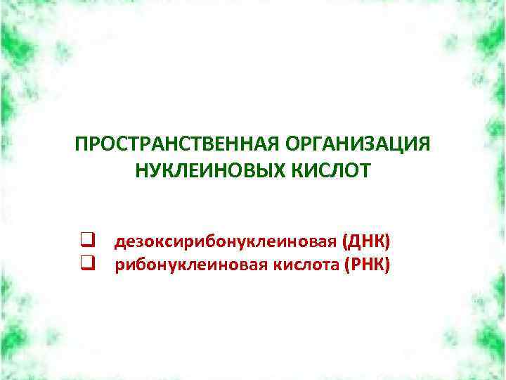 ПРОСТРАНСТВЕННАЯ ОРГАНИЗАЦИЯ НУКЛЕИНОВЫХ КИСЛОТ q дезоксирибонуклеиновая (ДНК) q рибонуклеиновая кислота (РНК) 