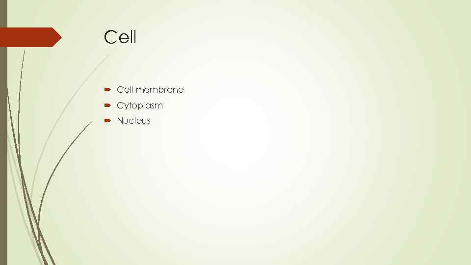 Cell membrane Cytoplasm Nucleus 