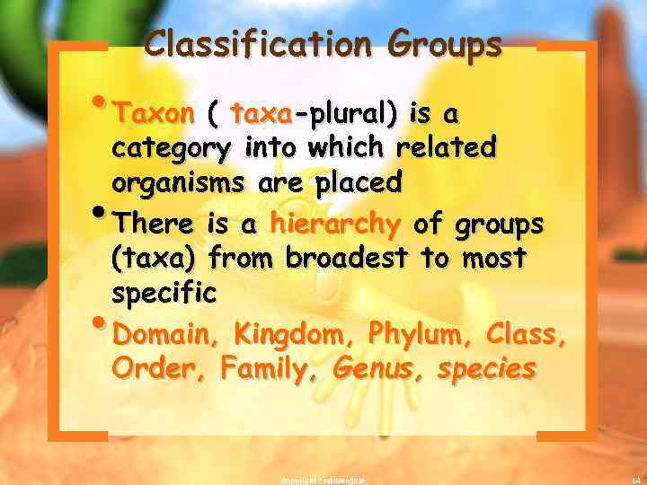 Classification Groups • Taxon ( taxa-plural) is a category into which related organisms are