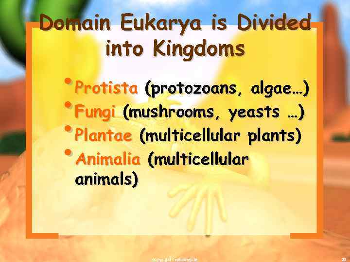 Domain Eukarya is Divided into Kingdoms • Protista (protozoans, algae…) • Fungi (mushrooms, yeasts