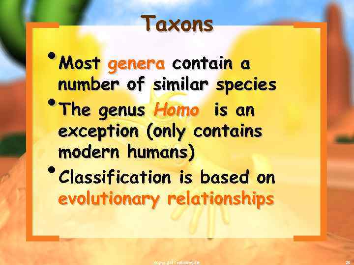 Taxons • Most genera contain a number of similar species • The genus Homo