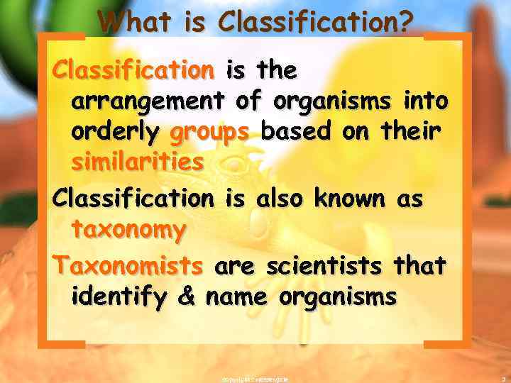 What is Classification? Classification is the arrangement of organisms into orderly groups based on