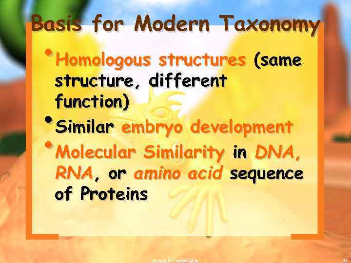 Basis for Modern Taxonomy • Homologous structures (same structure, different function) Similar embryo development