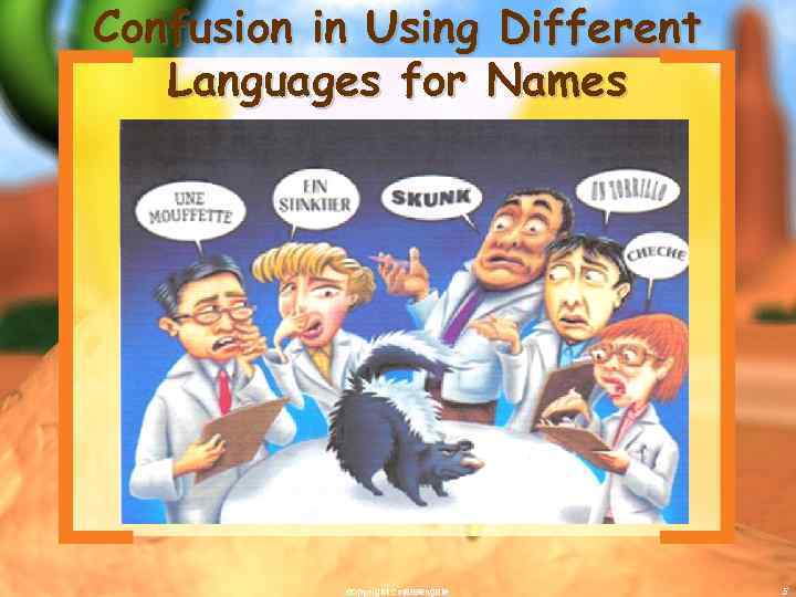 Confusion in Using Different Languages for Names copyright cmassengale 5 