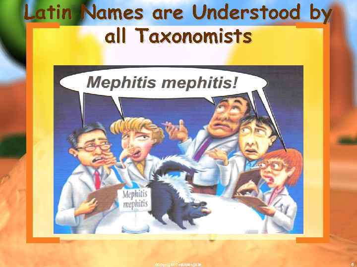 Latin Names are Understood by all Taxonomists copyright cmassengale 6 