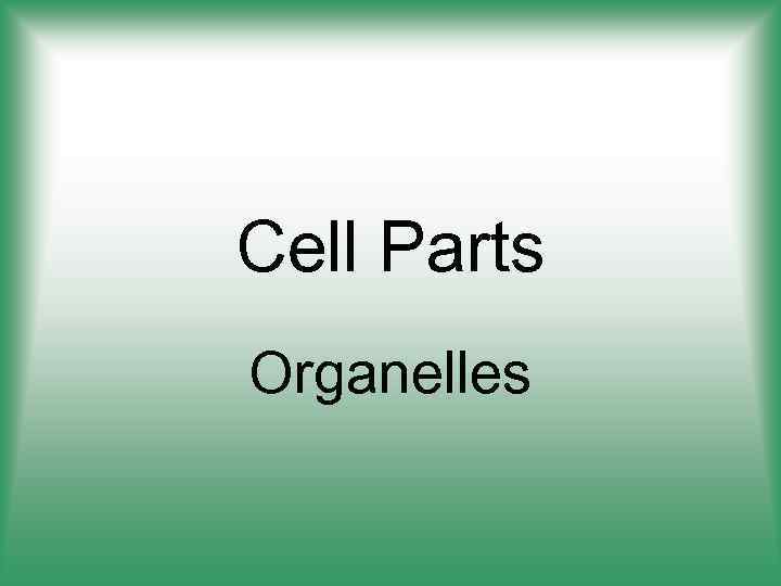 Cell Parts Organelles 