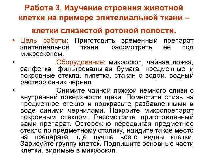 Работа 3. Изучение строения животной клетки на примере эпителиальной ткани – клетки слизистой ротовой
