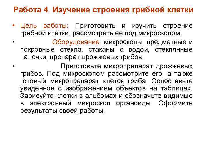Работа 4. Изучение строения грибной клетки • Цель работы: Приготовить и изучить строение грибной