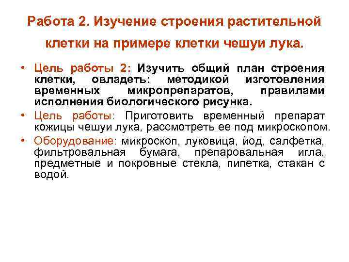 Работа 2. Изучение строения растительной клетки на примере клетки чешуи лука. • Цель работы