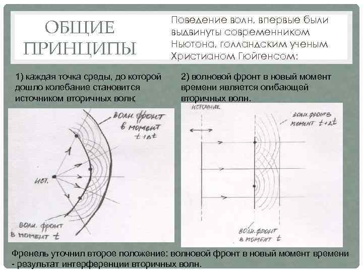 ОБЩИЕ ПРИНЦИПЫ 1) каждая точка среды, до которой дошло колебание становится источником вторичных волн;