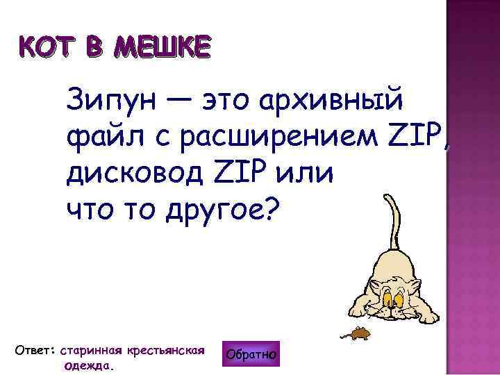 КОТ В МЕШКЕ Зипун — это архивный файл с расширением ZIP, дисковод ZIP или