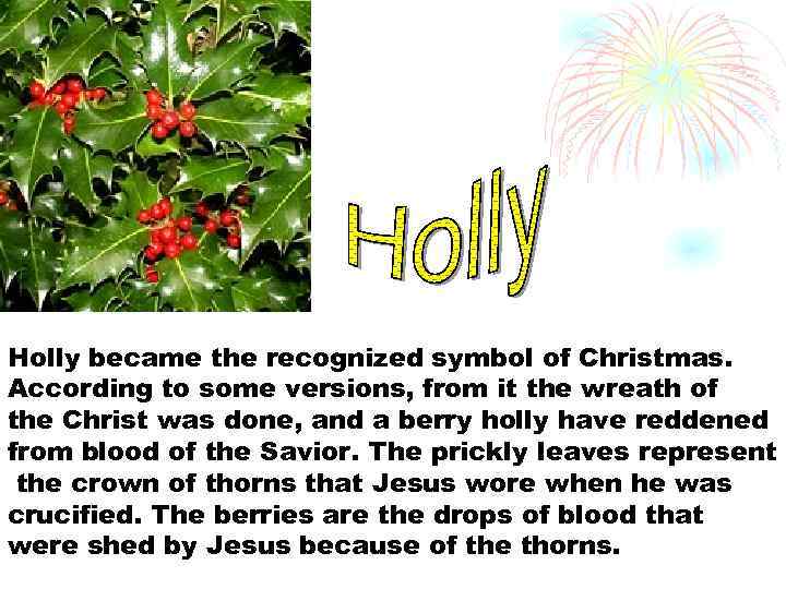 Holly became the recognized symbol of Christmas. According to some versions, from it the