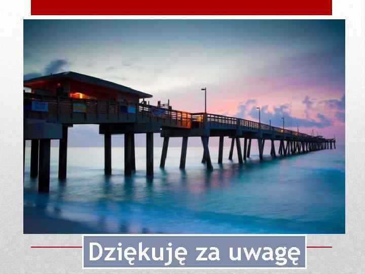 Dziękuję za uwagę 