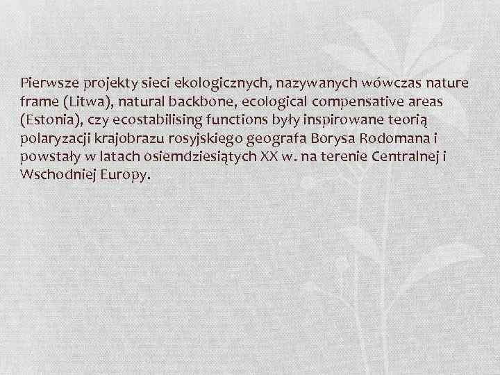 Pierwsze projekty sieci ekologicznych, nazywanych wówczas nature frame (Litwa), natural backbone, ecological compensative areas