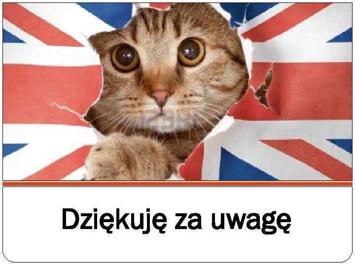 Dziękuję za uwagę 