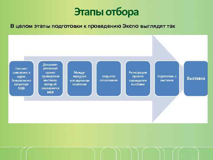 Этапы отбора В целом этапы подготовки к проведению Экспо выглядят так 