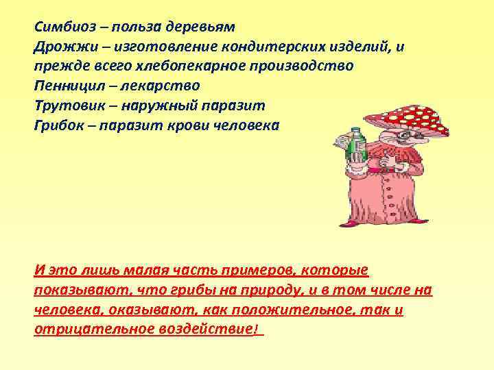 Симбиоз – польза деревьям Дрожжи – изготовление кондитерских изделий, и прежде всего хлебопекарное производство