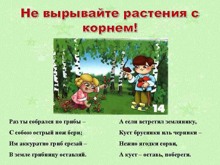 Не вырывайте растения с корнем! Раз ты собрался по грибы – А если встретил