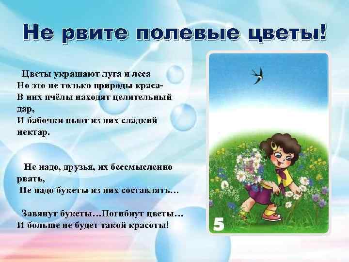 Не рвите полевые цветы! Цветы украшают луга и леса Но это не только природы