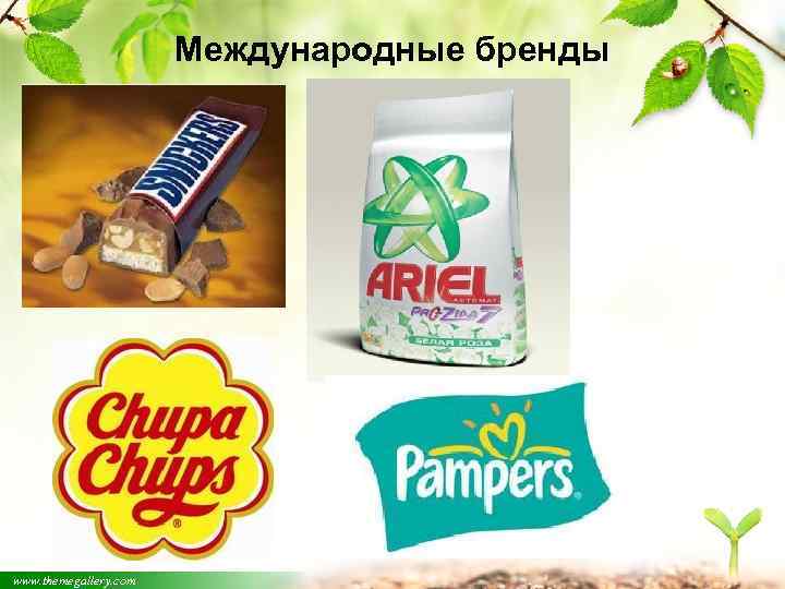 Международные бренды www. themegallery. com 