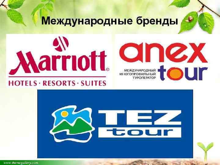 Международные бренды www. themegallery. com 