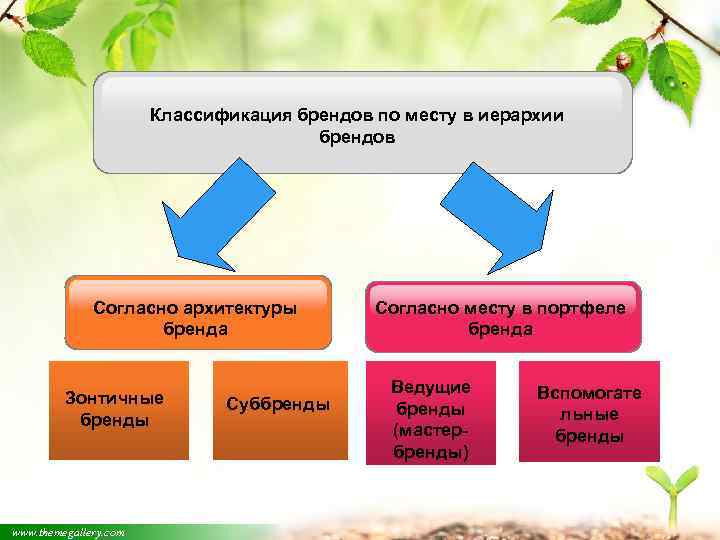 Классификация брендов по месту в иерархии брендов Согласно архитектуры бренда Зонтичные бренды www. themegallery.