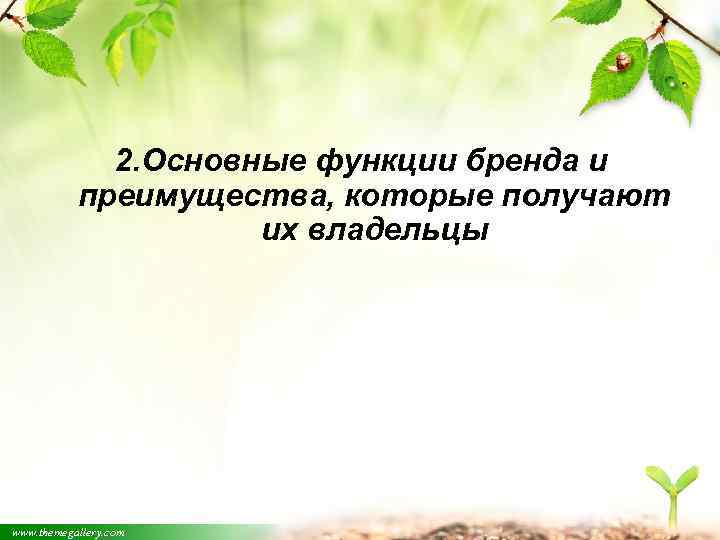 2. Основные функции бренда и преимущества, которые получают их владельцы www. themegallery. com 