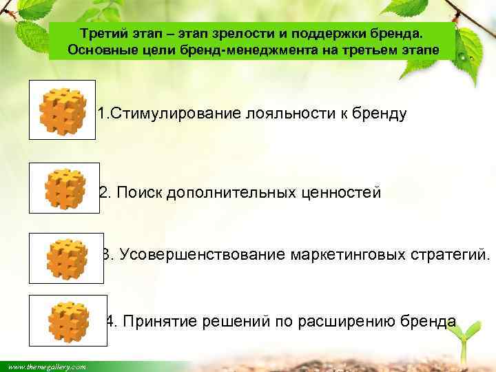 Третий этап – этап зрелости и поддержки бренда. Основные цели бренд-менеджмента на третьем этапе
