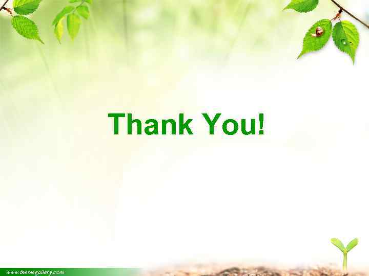 Thank You! www. themegallery. com 