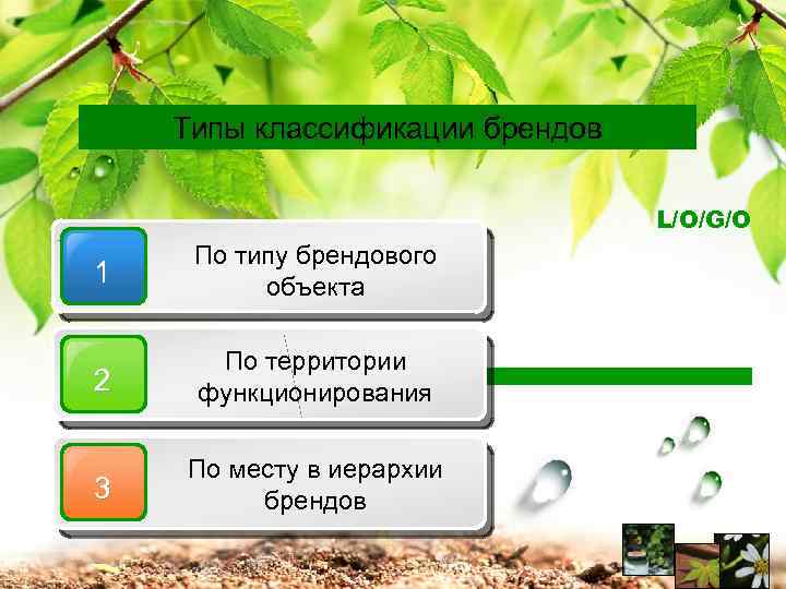 Типы классификации брендов L/O/G/O 1 По типу брендового объекта 2 По территории функционирования 3