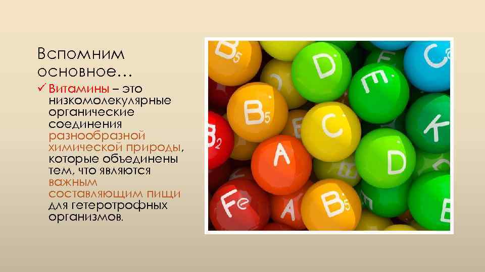 Вспомним основное… ü Витамины – это низкомолекулярные органические соединения разнообразной химической природы, которые объединены