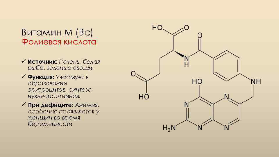 Витамин М (Вс) Фолиевая кислота ü Источник: Печень, белая рыба, зеленые овощи. ü Функция: