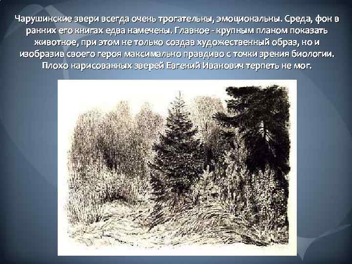 Чарушинские звери всегда очень трогательны, эмоциональны. Среда, фон в ранних его книгах едва намечены.