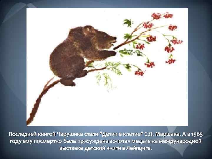 Последней книгой Чарушина стали 