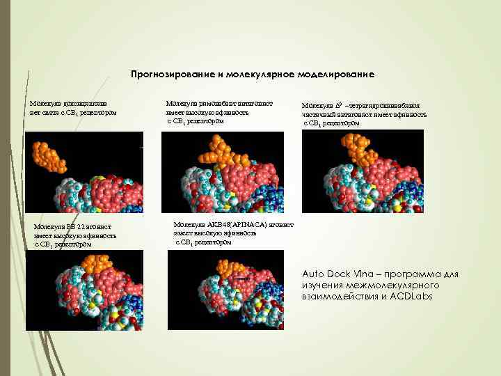 Прогнозирование и молекулярное моделирование Молекула доксициклина нет связи с СВ 1 рецептором Молекула РВ